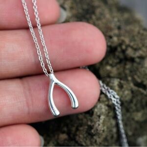 NWT Wishbone Necklace on "WISH" Card - Silver Dainty Good Luck Charm